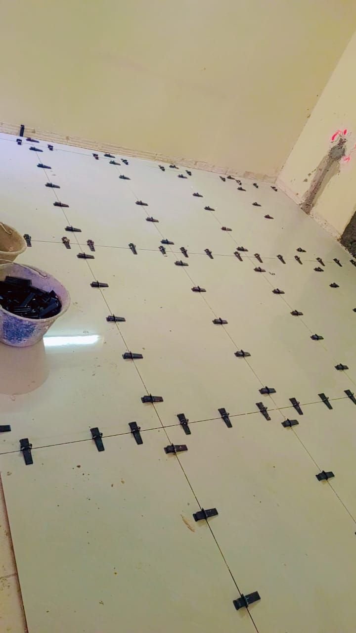 مشروع 19